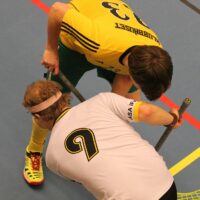 Seinäjoen Yrittäjien sähly