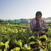 Vastuullisuus ja raportointi ulottuu ketjujen kautta pitkälle.