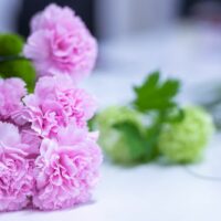 kukkia Yrittäjälle