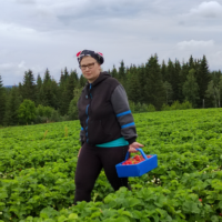 Karvonmaan marjatila