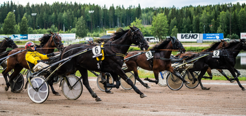 Yrittäjäravit