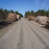Perusparannettu metsätie