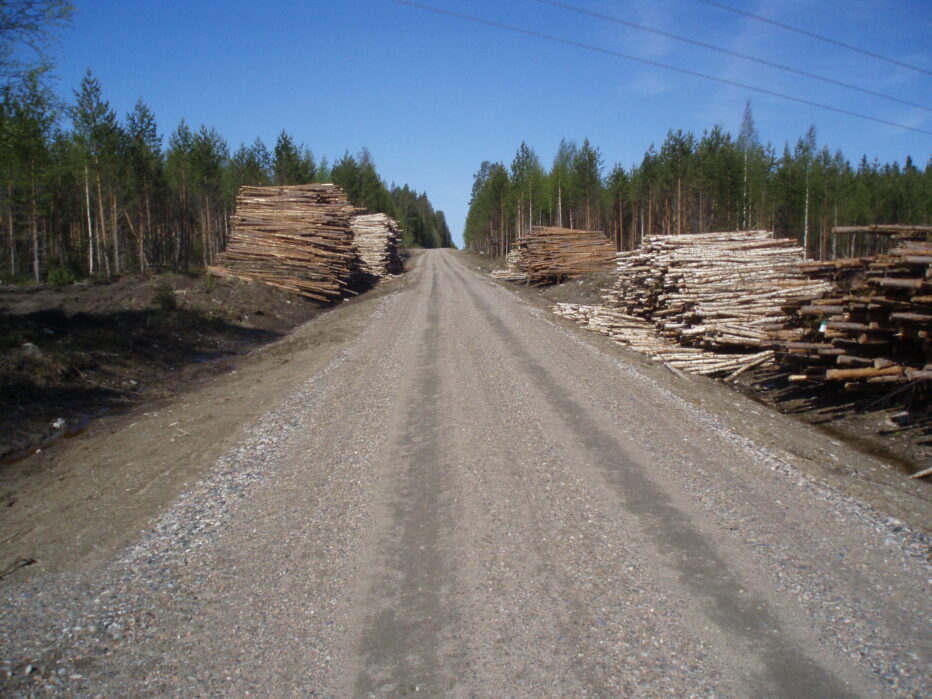 Perusparannettu metsätie