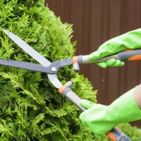 Näin perehdytät kesätyöntekijän