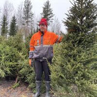 Akseli Toikka kertoo, muten hoidat joulukuusta oikein