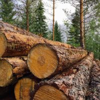 Sahateollisuudelta kovaa puhetta ilmastotavoitteesta