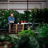 Yrityksen perustamisen oppaan kansikuvassa yrittäjä istuu tietokoneen edessä viherkasvien ympäröimänä.