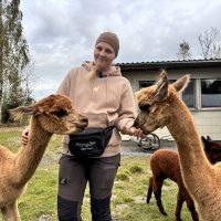Yksinyrittäjä Carita Saarinen kertoo, miksi alpakka tekee hyvää henkiselle hyvinvoinnille
