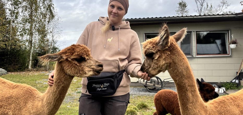 Yksinyrittäjä Carita Saarinen kertoo, miksi alpakka tekee hyvää henkiselle hyvinvoinnille