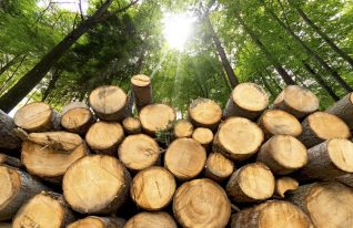 Metsä Groupilta huonoja uutisia pienille yrityksille