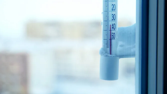 Hirmupakkaset eivät pelästytä savukoskelaisyrittäjiä