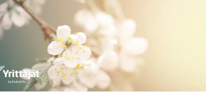 saty kevätkokous 2026