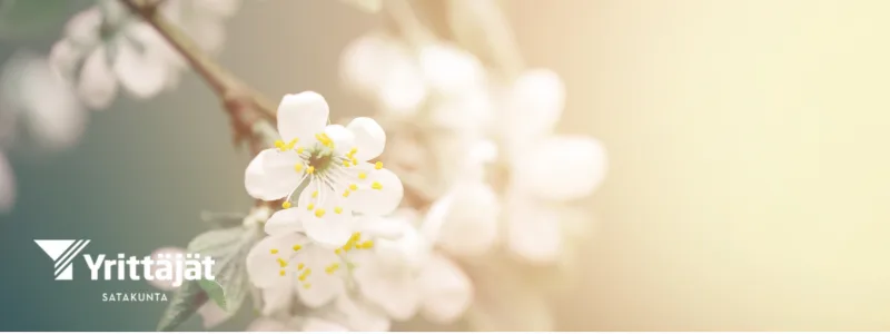 saty kevätkokous 2026