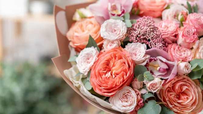 Kukkakauppias kertoo, mitkä kukat vetävät naistenpäivänä