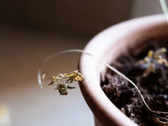 Anna Koukkari perusti yrityksen alalle, jolla kilpailua on vielä vähän