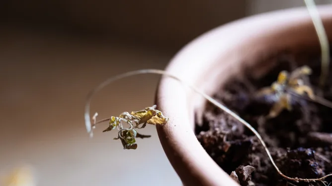 Anna Koukkari perusti yrityksen alalle, jolla kilpailua on vielä vähän