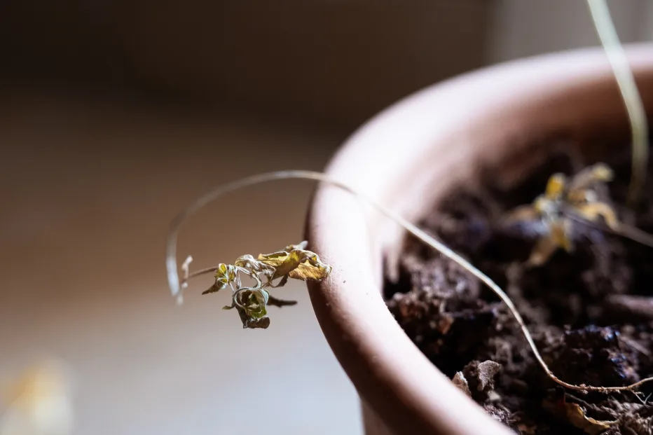 Anna Koukkari perusti yrityksen alalle, jolla kilpailua on vielä vähän