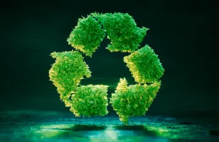 Hallitus esittää yrityksille kuuden kuukauden lisäaikaa EU:n vihreän siirtymän kuluttajansuojadirektiivin soveltamiseen.