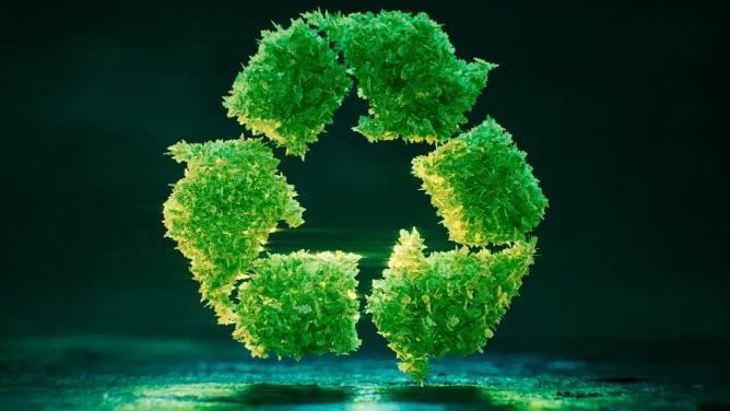 Hallitus esittää yrityksille kuuden kuukauden lisäaikaa EU:n vihreän siirtymän kuluttajansuojadirektiivin soveltamiseen.