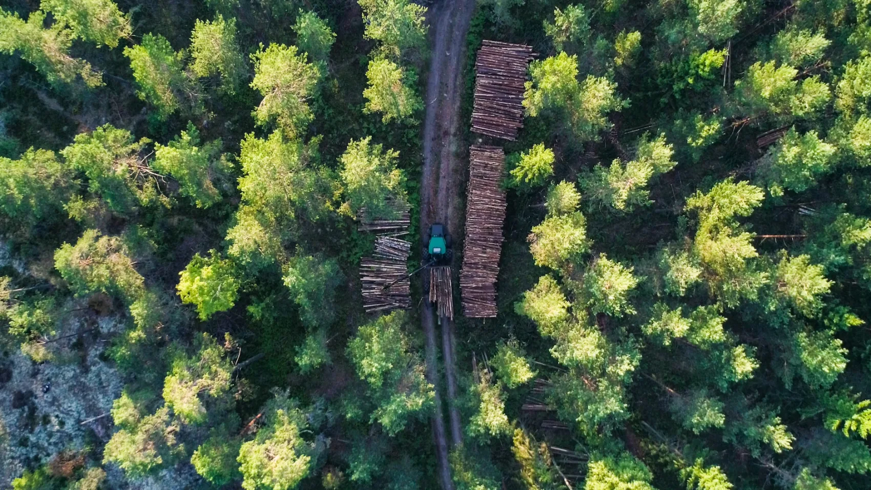 Metsä Groupin tempoileva toiminta herättää suuttumusta yrittäjissä