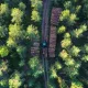 Metsä Groupin tempoileva toiminta herättää suuttumusta yrittäjissä