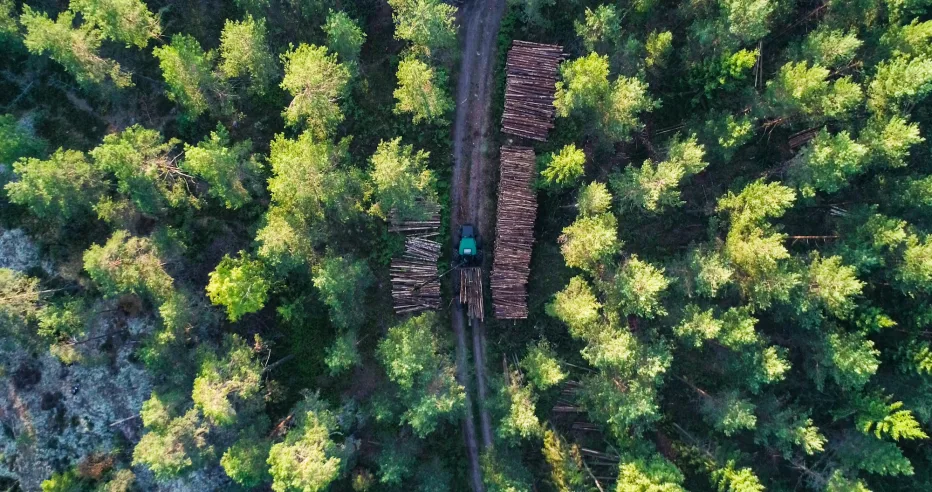 Metsä Groupin tempoileva toiminta herättää suuttumusta yrittäjissä