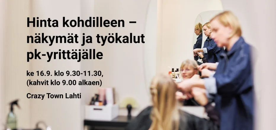 Hinta kohdilleen - näkymät ja työkalut pk-yrittäjälle