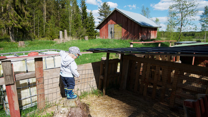 Hakunin kotieläintila