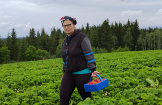 Karvonmaan marjatila
