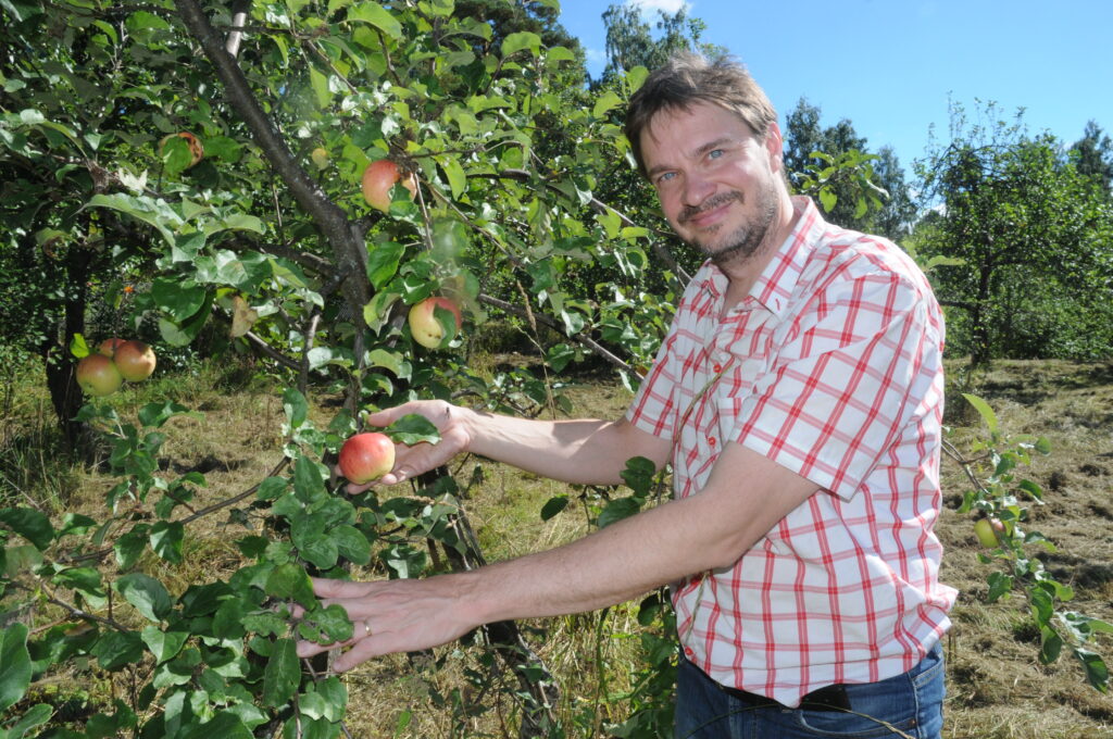 Omenayrittäjä ja malliomena