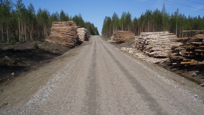 Perusparannettu metsätie