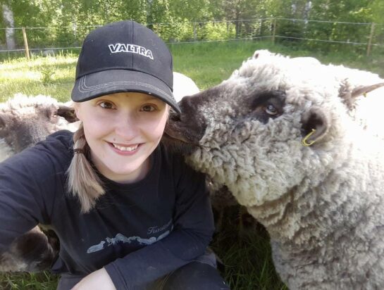 Roosa Honkanen pelkää, että sudet vievät lisää tilan lampaita